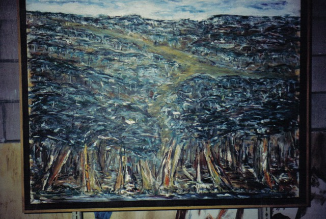 A155 The Daily River NT 1990.jpg